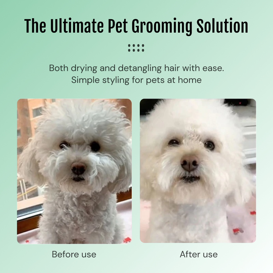 Pet Dogson™ - Silent Drying Brush for Pets